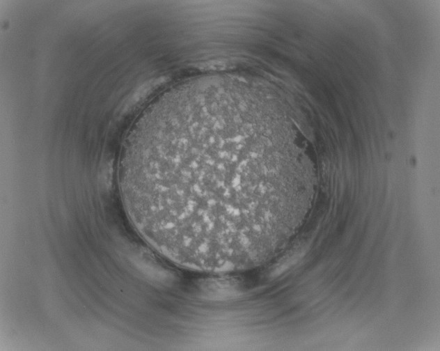 X0000079320652200612081935