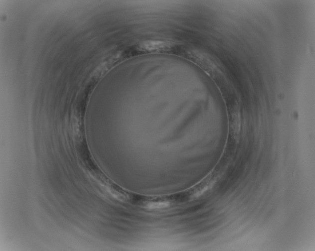 X0000079320653200612081935