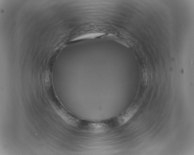 X0000079320654200612081935