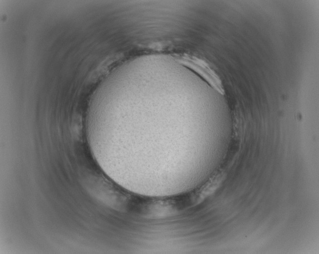 X0000079320656200612081935