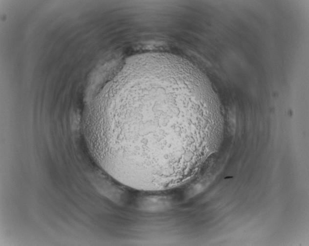 X0000079320657200612081935