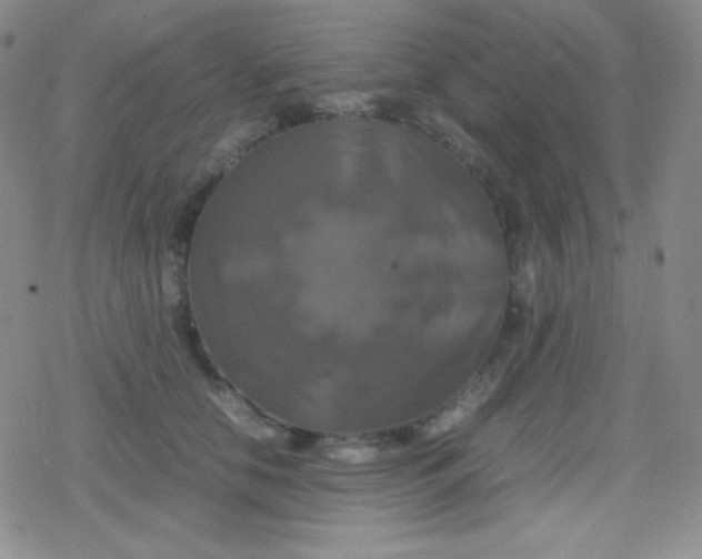 X0000079320658200612081935