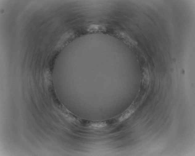 X0000079320659200612081935