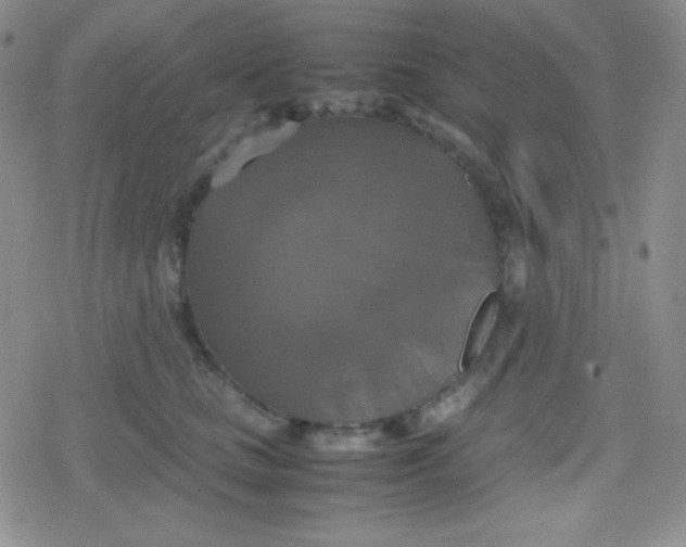 X0000079320661200612081935