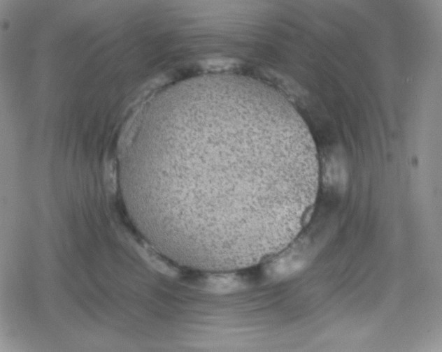 X0000079320666200612081935