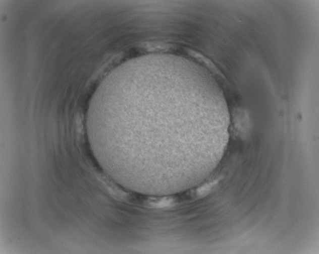 X0000079320667200612081935