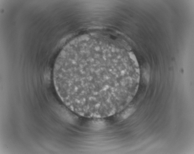 X0000079320668200612081935