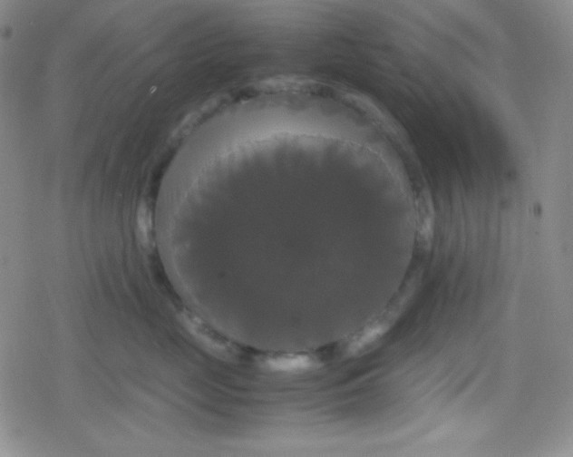 X0000079320669200612081935