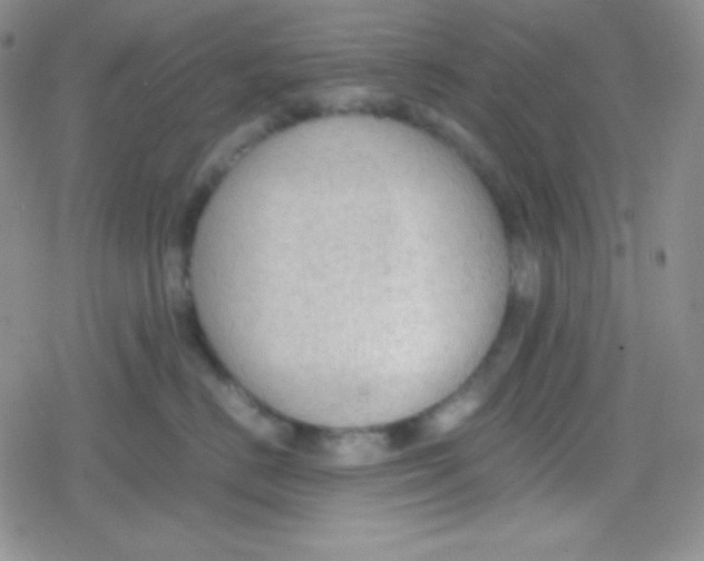 X0000079320670200612081935