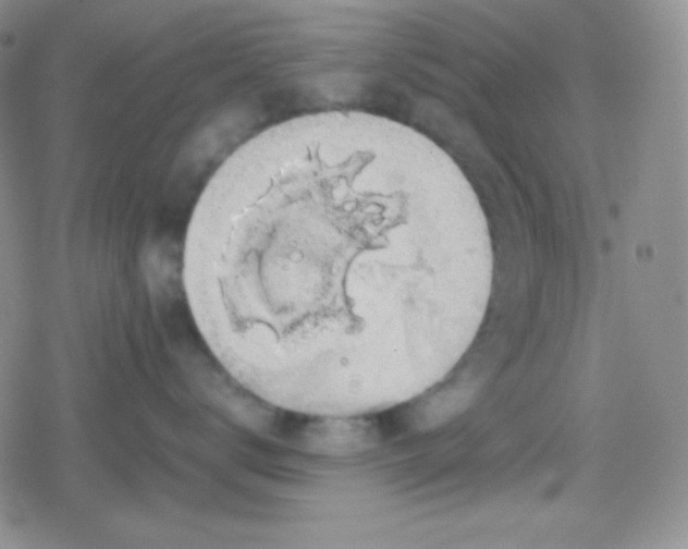 X0000079320672200612081936