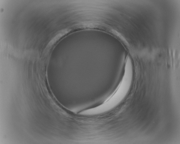 X0000079320673200612081935