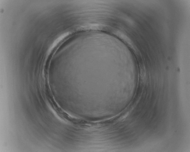 X0000079320674200612081935