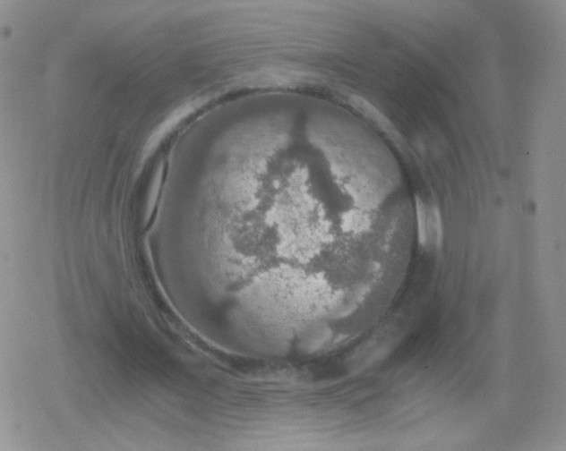 X0000079320675200612081935