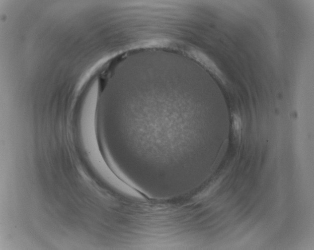 X0000079320676200612081935