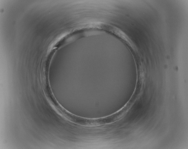 X0000079320677200612081935