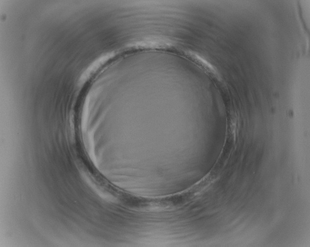 X0000079320678200612081935