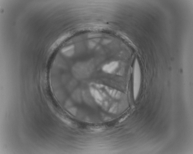 X0000079320679200612081935