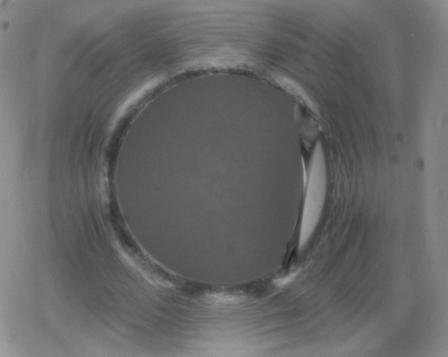 X0000079320680200612081935