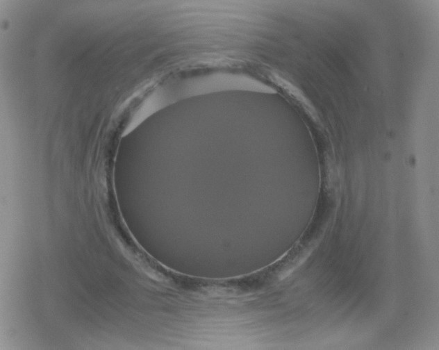 X0000079320681200612081935