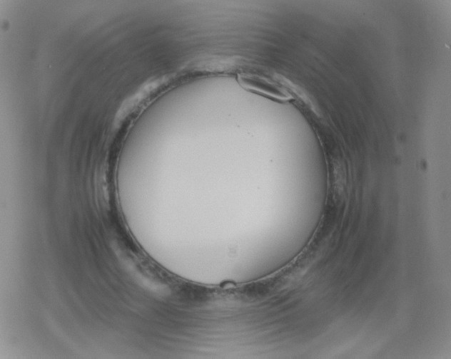 X0000079320682200612081935