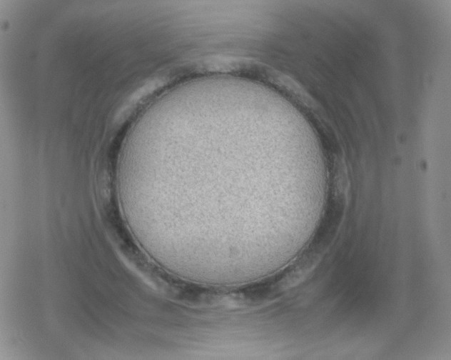 X0000079320683200612081935