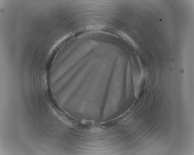 X0000079320684200612081935