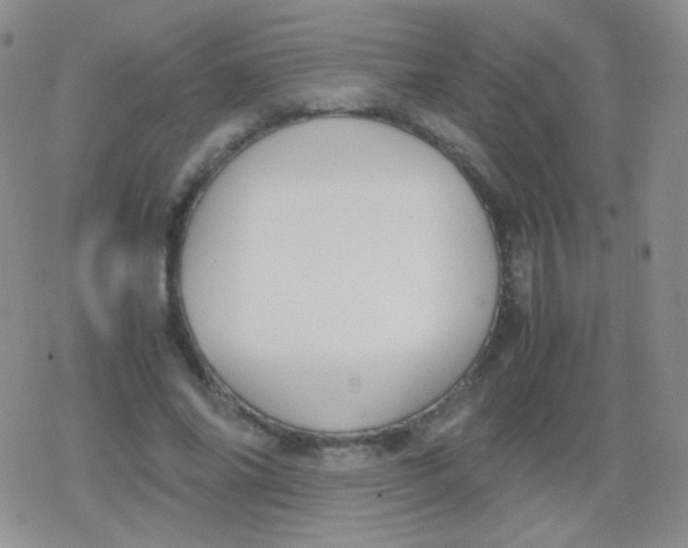 X0000079320686200612081935