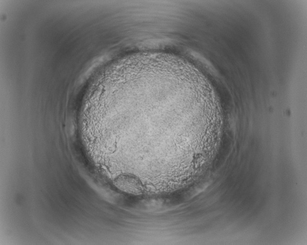 X0000079320687200612081934