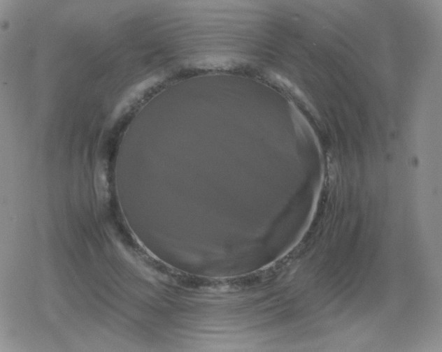 X0000079320688200612081934