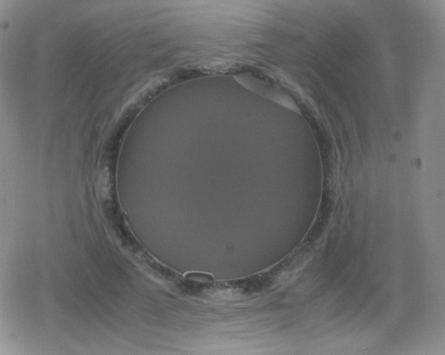 X0000079320689200612081934