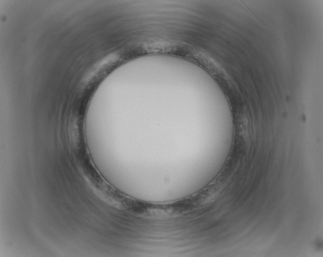 X0000079320690200612081934