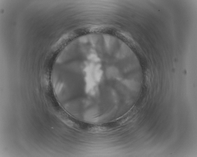 X0000079320691200612081934