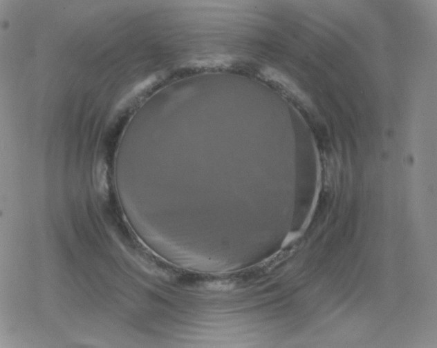 X0000079320692200612081934