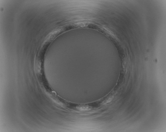 X0000079320693200612081934