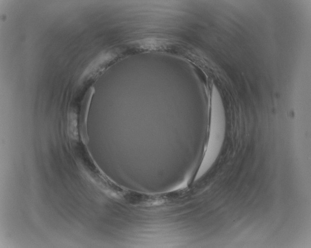 X0000079320696200612081934