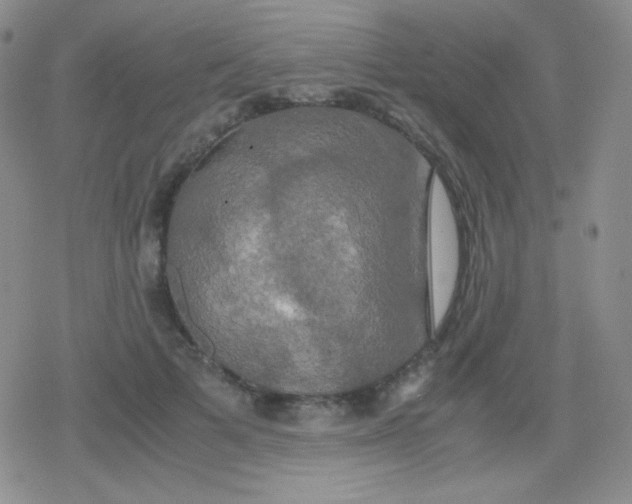 X0000079320697200612081934