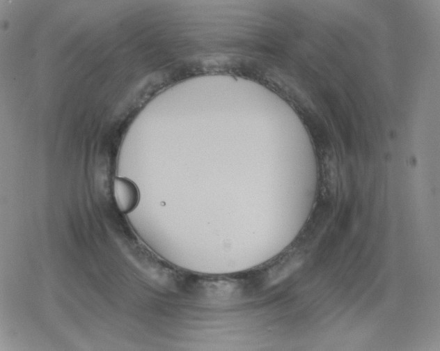 X0000079320698200612081934