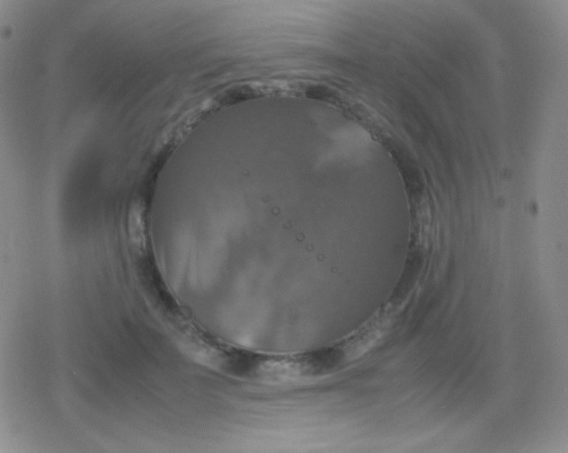 X0000079320699200612081934