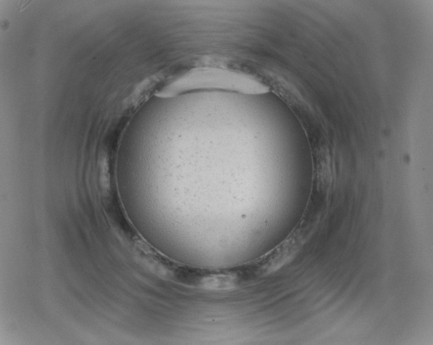 X0000079320700200612081934