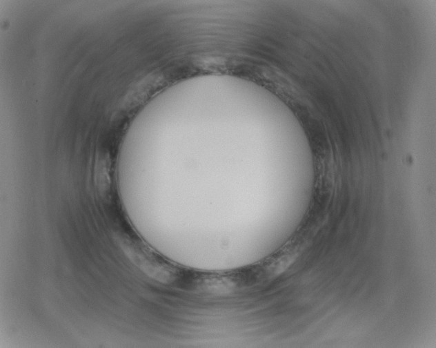 X0000079320702200612081934