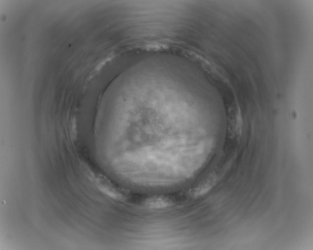 X0000079320704200612081934