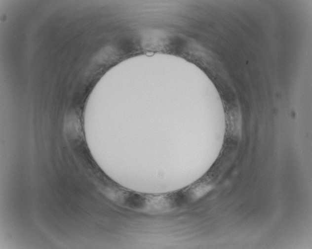 X0000079320705200612081934