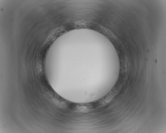 X0000079320706200612081934