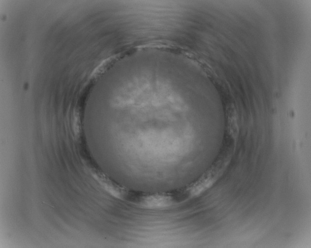 X0000079320708200612081934