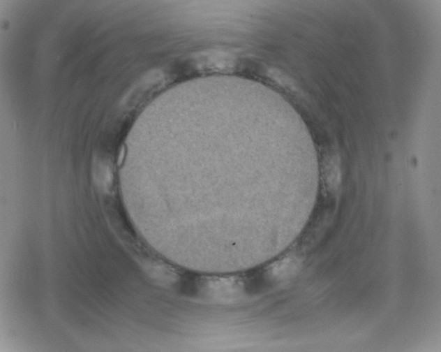 X0000079320709200612081934