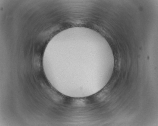 X0000079320710200612081934