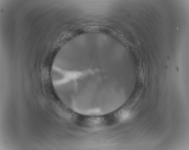 X0000079320711200612081934