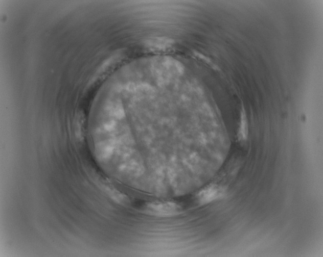 X0000079320712200612081934