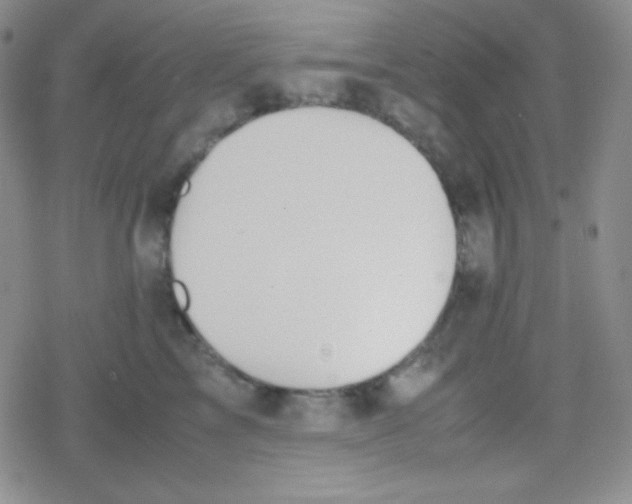 X0000079320713200612081934