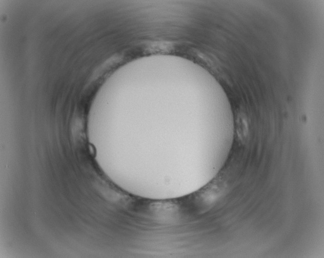 X0000079320714200612081934